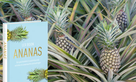 Fascinerende wereld van de ananas